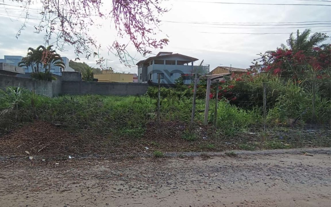 LOTE 450 M² - LOTEAMENTO PRAIA DOURADA - ILHÉUS/BA - Imagem 5