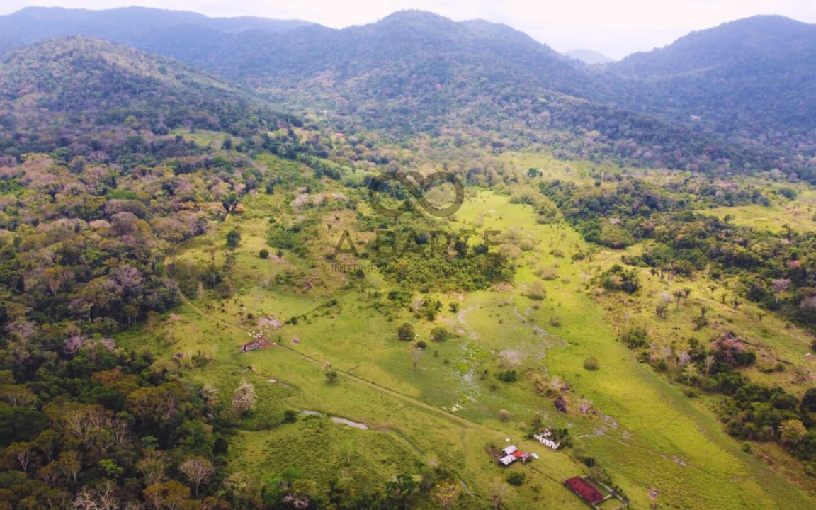 FAZENDA MARANATA 165 HA - ILHÉUS x ITAJUIPE - Imagem 1