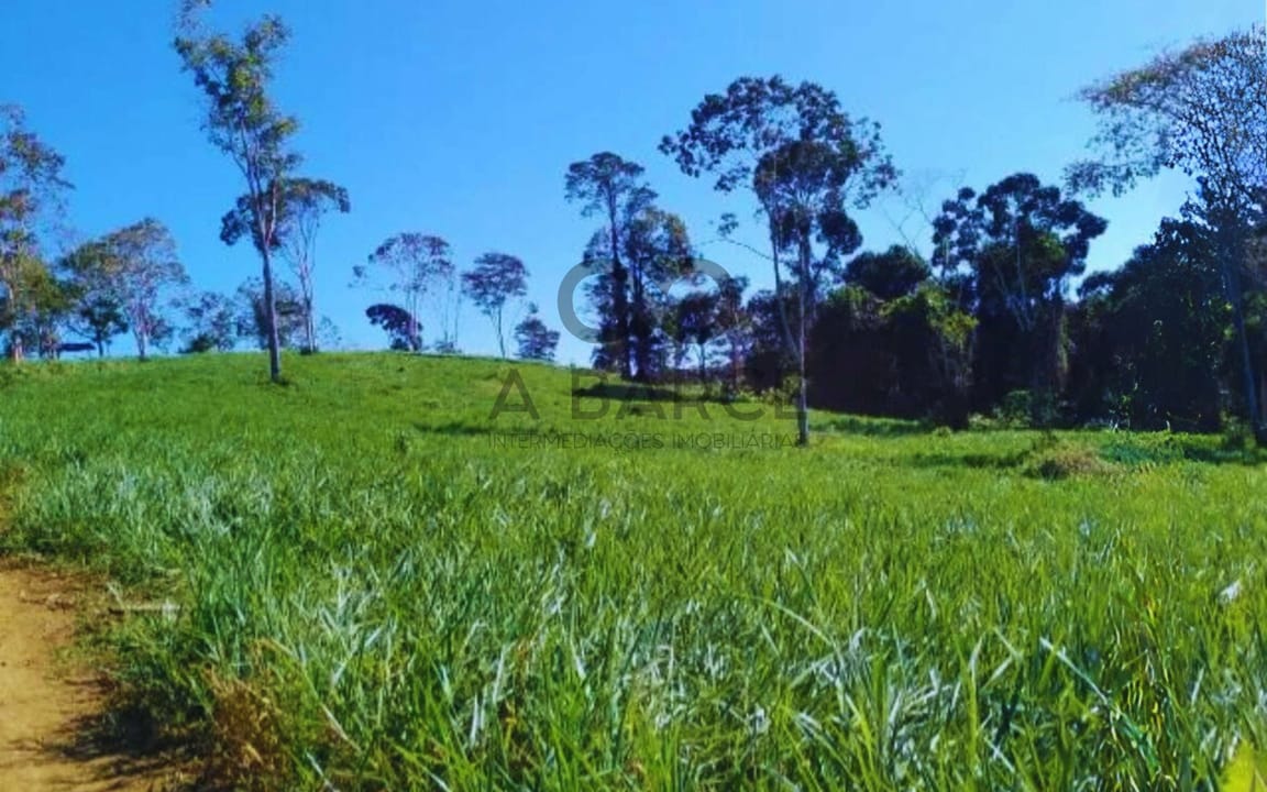 FAZENDA SANTA MARIA 349HA - UNA/BA - Imagem 5