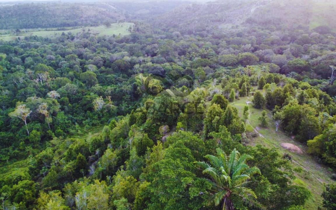 FAZENDA LAGOA DO BOI III COM 686 HA – OURICANA - CANAVIEIRAS/BA - Imagem 5