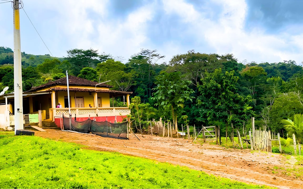 FAZENDA JUSSARA 52HA - BARRO PRETO - COARACI/BA
