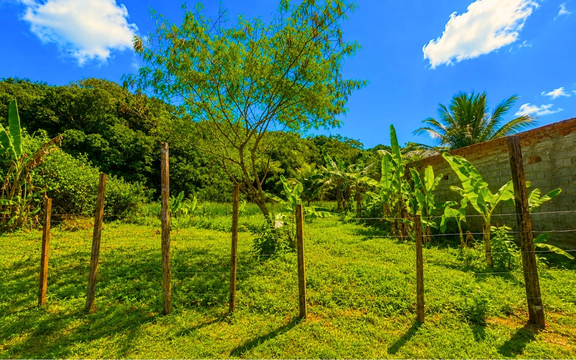 LOTE  300M² – ILHÉUS II – ILHÉUS/BA - Imagem 5