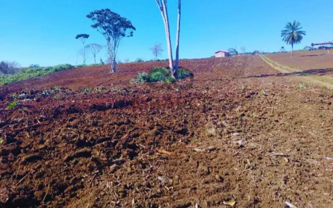 FAZENDA SANTA MARIA 349HA - UNA/BA - Imagem 2
