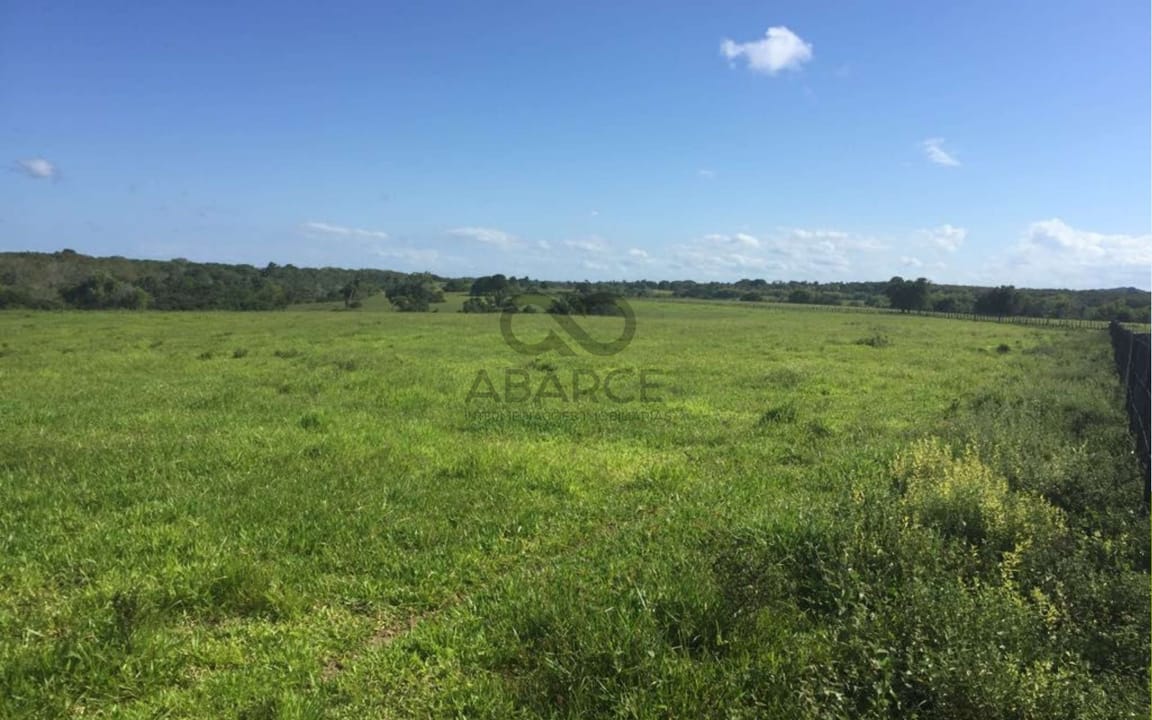FAZENDA BOLANDEIRA 4.388 HA - UNA/BA - Imagem 4