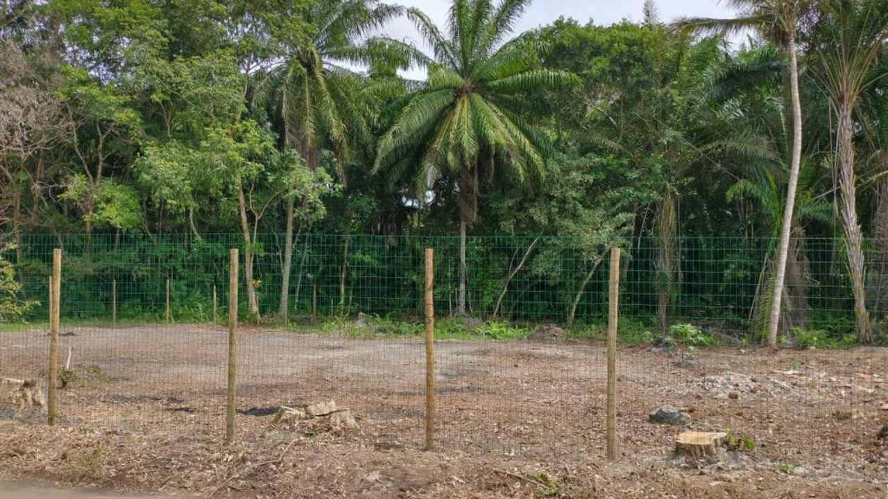 TERRENO 1.815M² - LOT. MAR E SOL - ILHÉUS/BA - Imagem 3