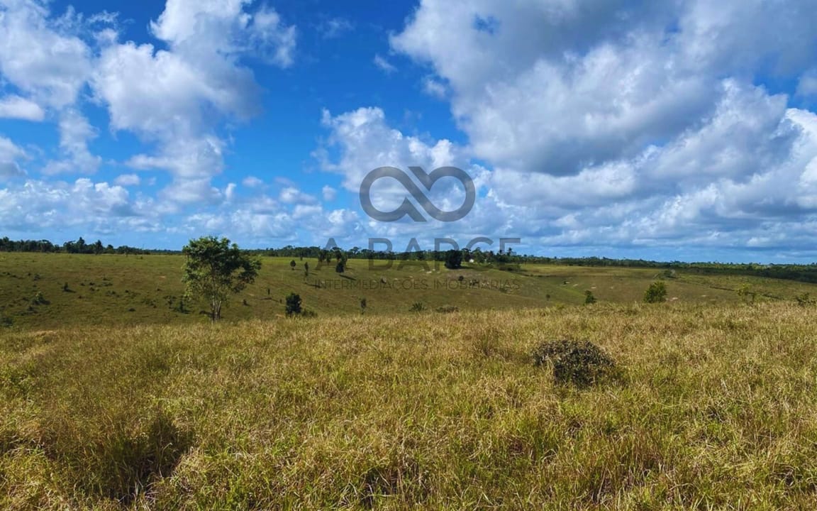 FAZENDA CAMPO DE ZINCO 161HA -CANAVIEIRAS/BA - Imagem 5