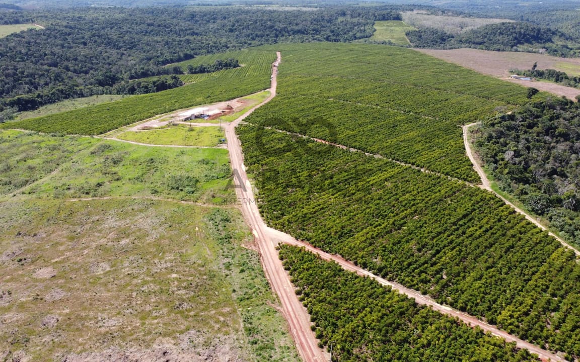 FAZENDA CONJUNTO PARAÍSO - 1820HA - UNA/BA - Imagem 2
