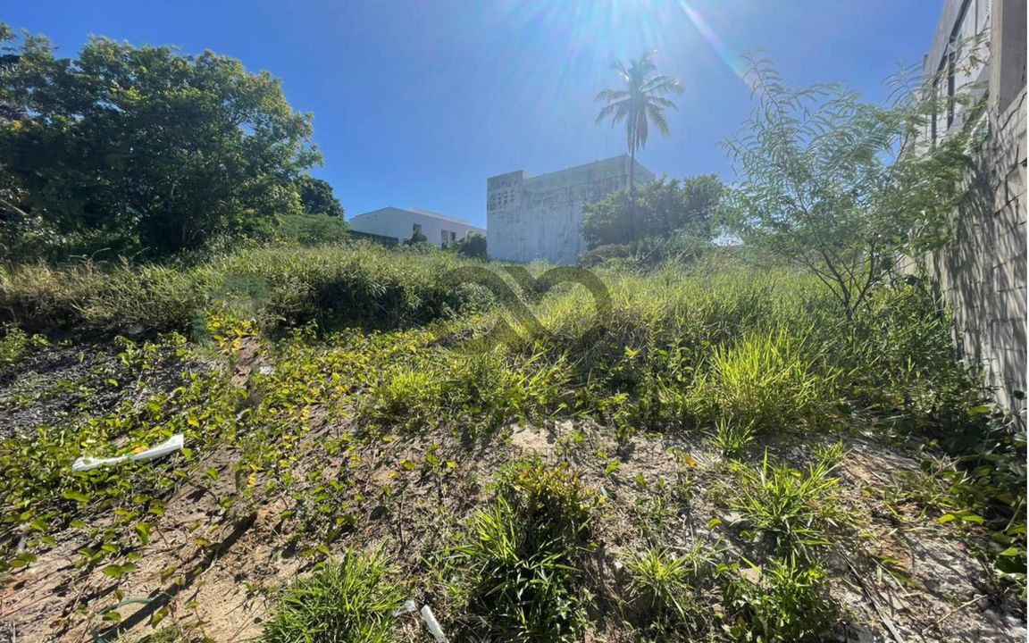 LOTE 539M²  – LOTEAMENTO PÉROLA DO MAR – ILHÉUS/BA - Imagem 4