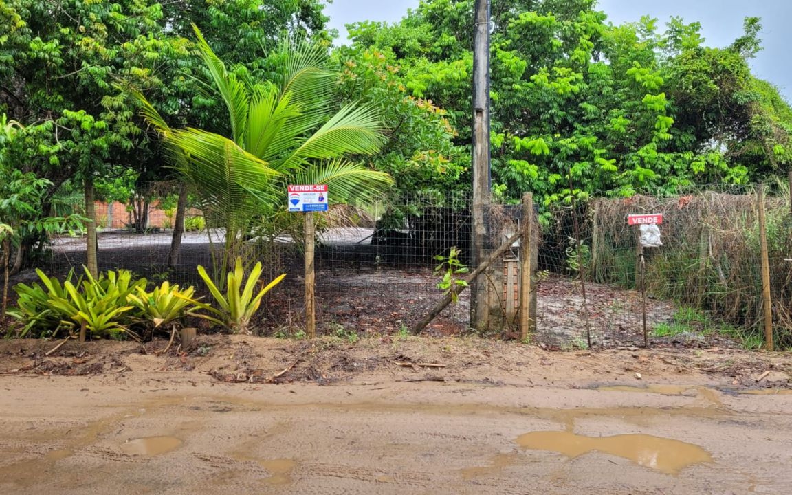 LOTE 450M²– TAIPU DE FORA – BARRA GRANDE/BA - Imagem 3