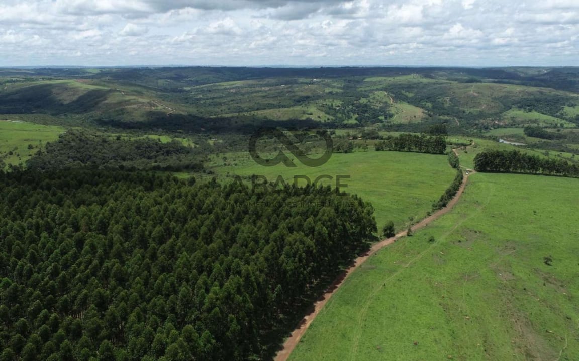 FAZENDA CACHOEIRAS DE BOA VISTA COM 691 HA – COCALZINHO DE GOIÁS - GIRASSOL/GO - Imagem 3