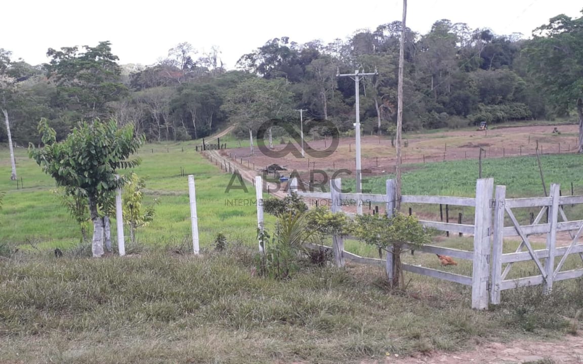 FAZENDA BARRO PRETO 59HA - ILHÉUS x ITAJUÍPE - Imagem 5