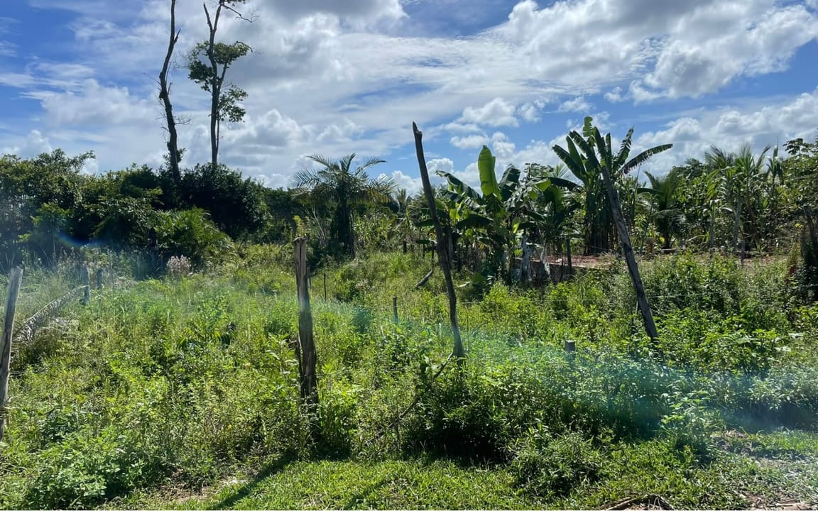 LOTE 400 M² -  COND. JÓIA DO ATLÂNTICO - ILHÉUS/BA - Imagem 3