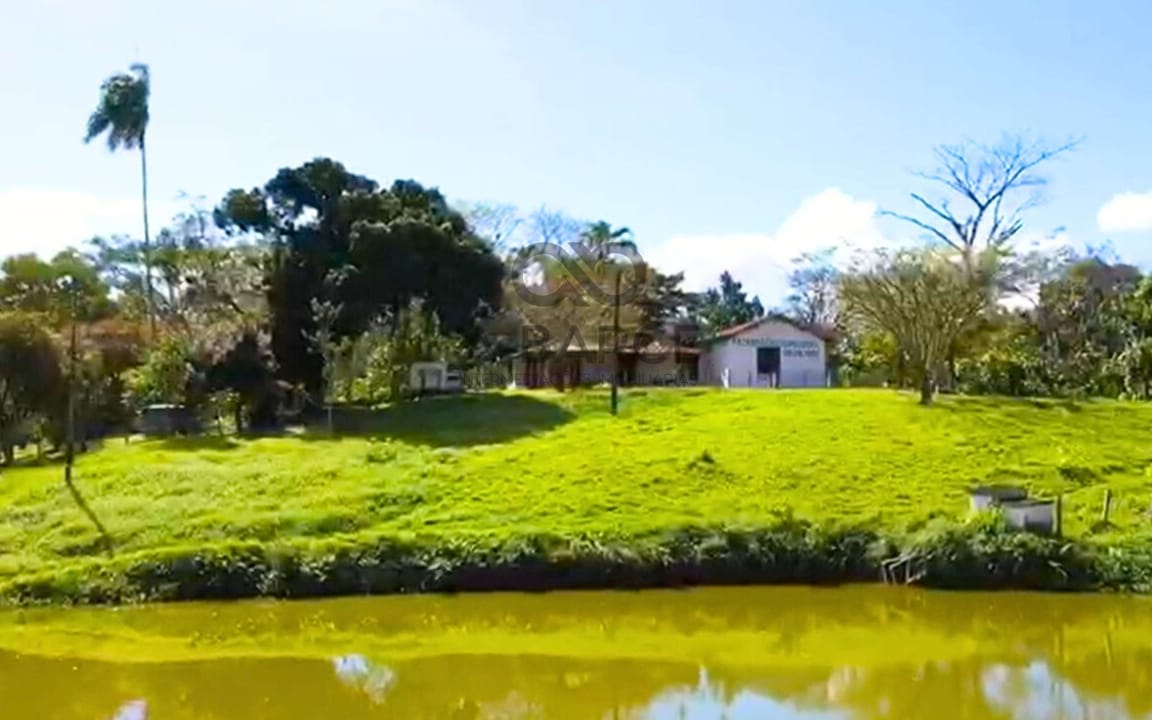 FAZENDA CRUZEIRO DO SUL DE 161 HA - ITAJUIPE/BA - Imagem 4