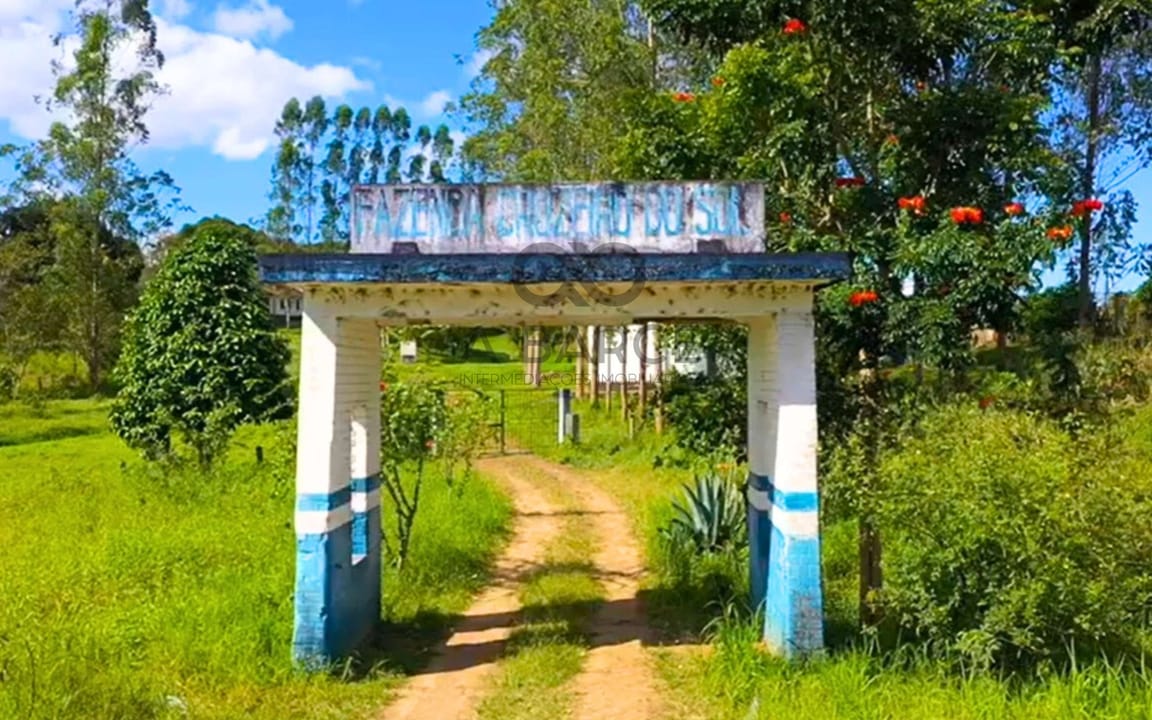 FAZENDA CRUZEIRO DO SUL DE 161 HA - ITAJUIPE/BA - Imagem 2