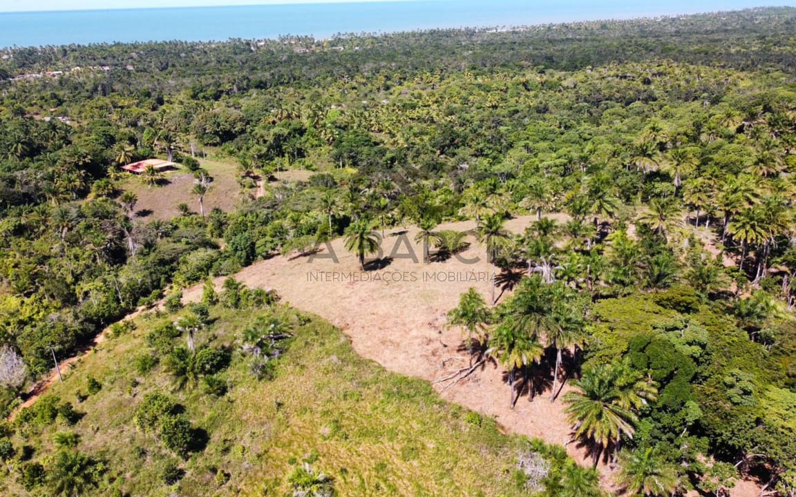 SÍTIO BELA VISTA 2.231 HA - ARITAGUÁ - ILHÉUS/BA - Imagem 1
