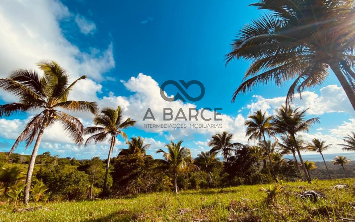 FAZENDA SÃO JORGE 4.5HA - SERRA GRANDE - URUÇUCA/BA - Imagem 5