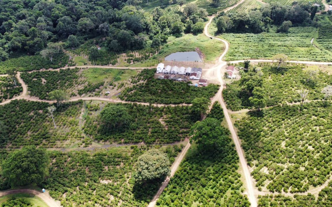 FAZENDA DUAS BARRAS E SOSSEGO 205 HA – ZONA RURAL - ILHÉUS/BA - Imagem 3