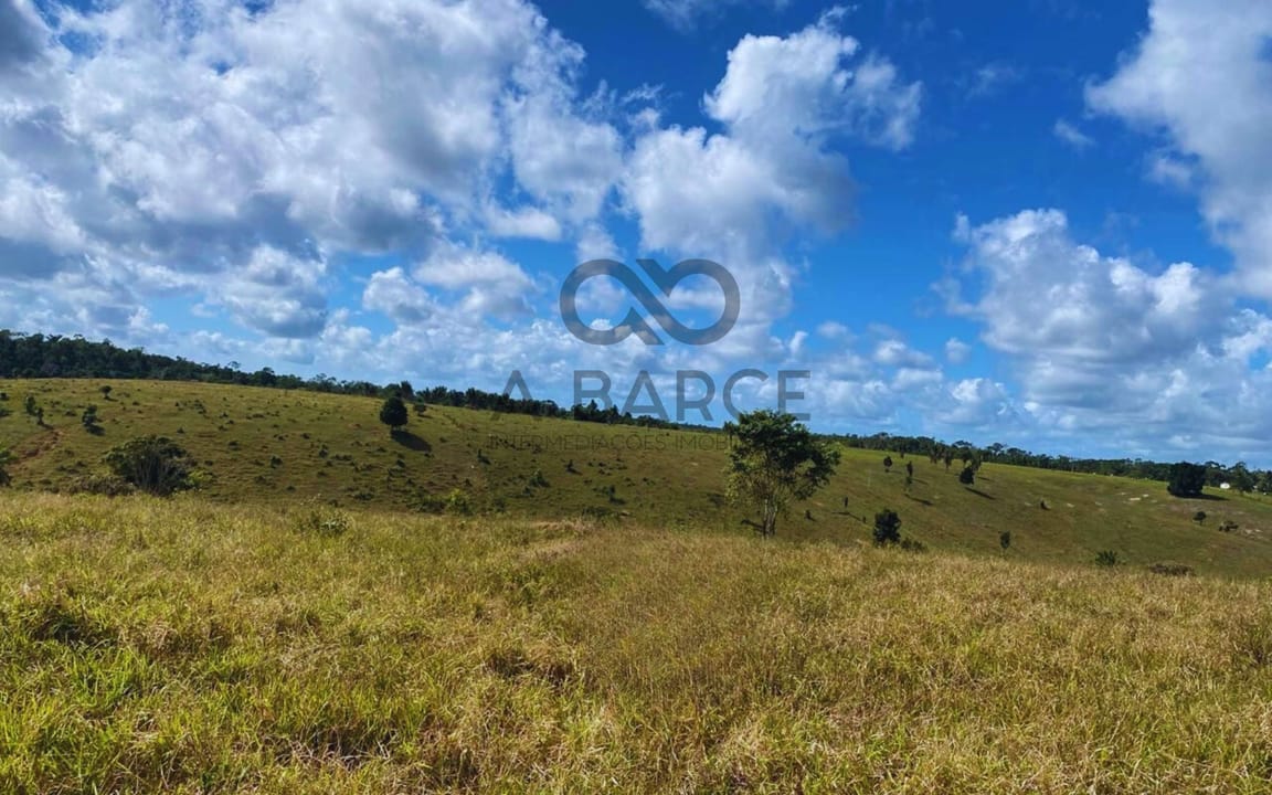 FAZENDA CAMPO DE ZINCO 161HA -CANAVIEIRAS/BA - Imagem 4