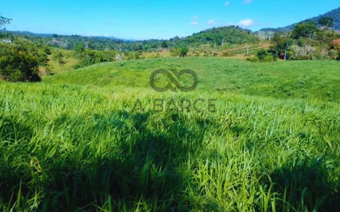 FAZENDA SANTA MARIA 349HA - UNA/BA