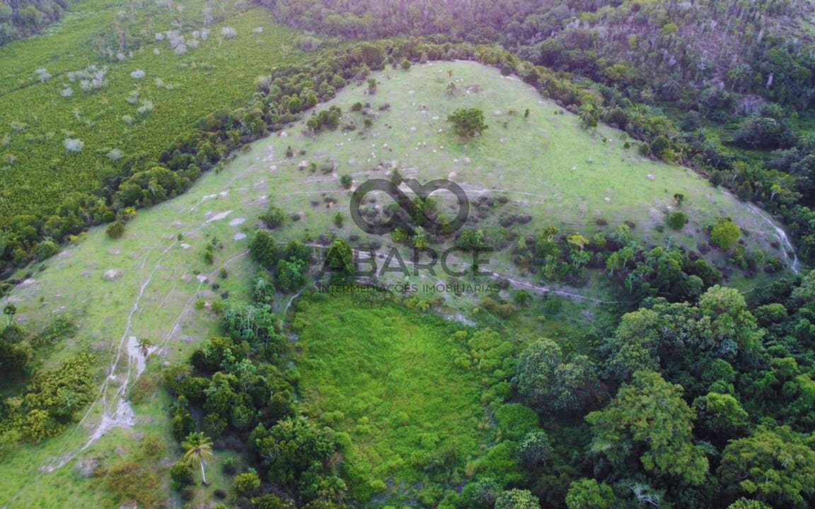 FAZENDA LAGOA DO BOI III COM 686 HA – OURICANA - CANAVIEIRAS/BA - Imagem 3