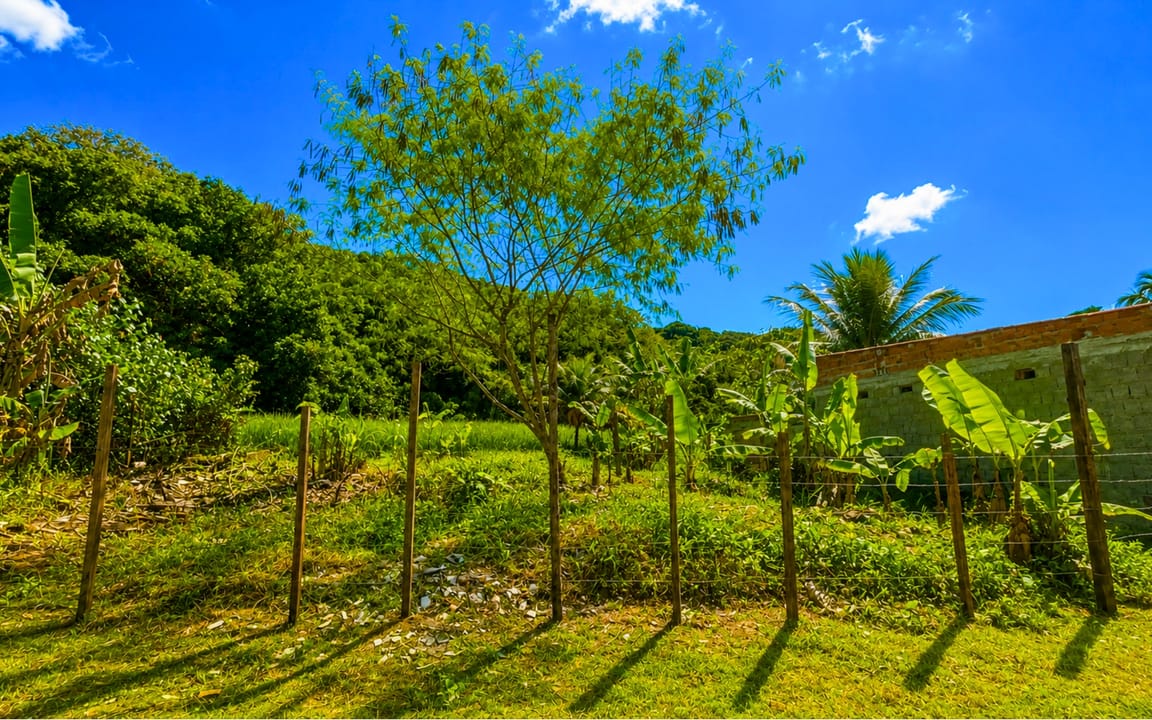 LOTE  300M² – ILHÉUS II – ILHÉUS/BA - Imagem 1