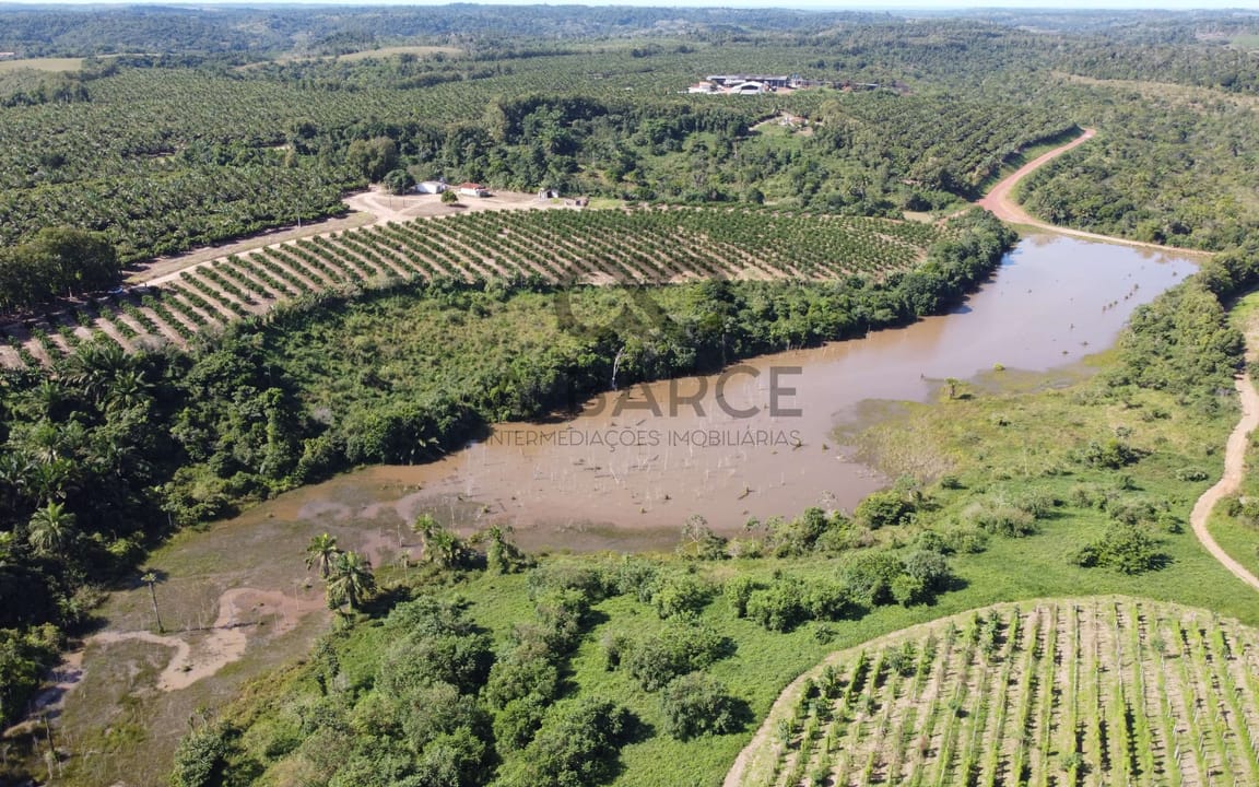 FAZENDA CONJUNTO PARAÍSO - 1820HA - UNA/BA - Imagem 5