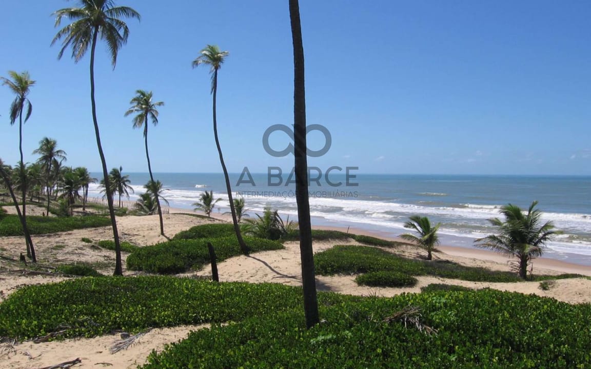 SÍTIO PRAIA DOS MILAGRES DE 16 HA -  CONDE - SALVADOR/BA - Imagem 5