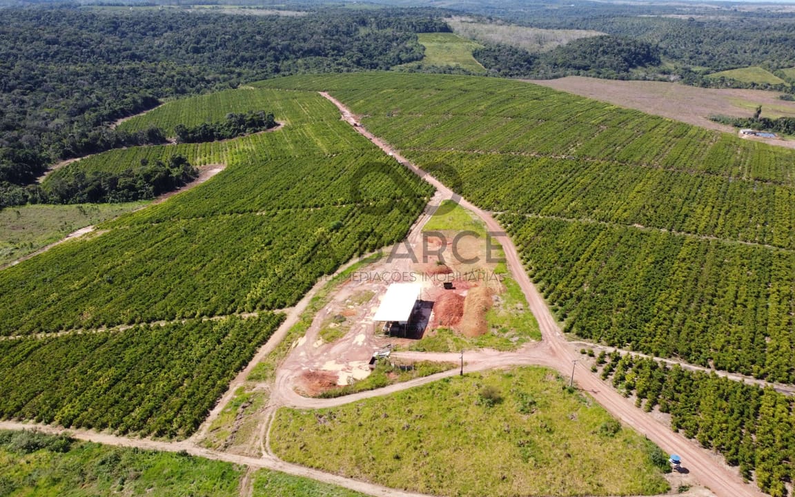 FAZENDA CONJUNTO PARAÍSO - 1820HA - UNA/BA - Imagem 3
