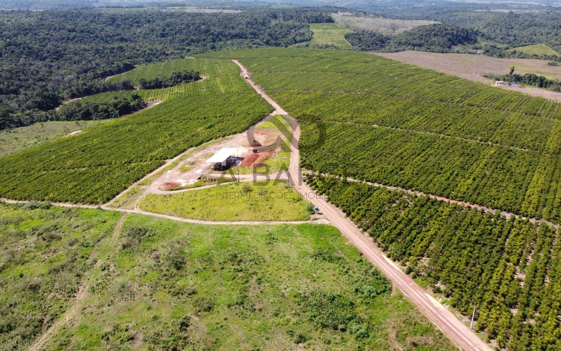 FAZENDA CONJUNTO PARAÍSO - 1820HA - UNA/BA