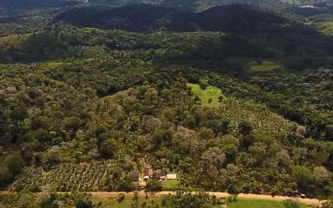 FAZENDA SÃO JOÃO 44 HA - URUÇUCA/BA