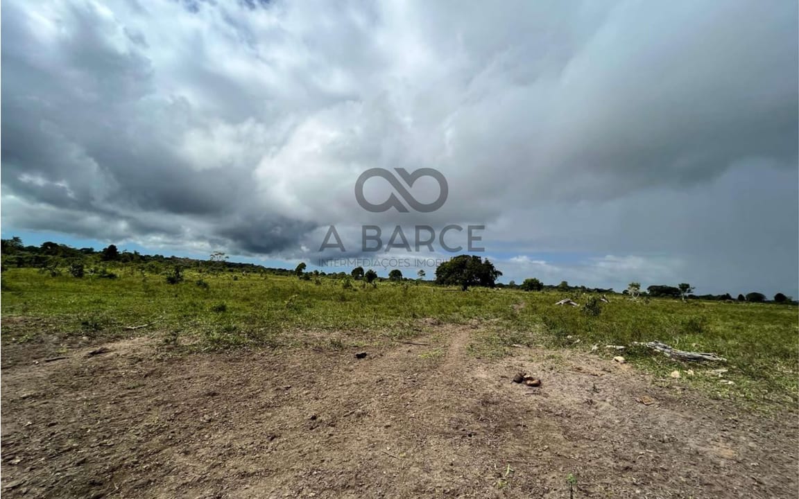 FAZENDA BOA ESPERANÇA 336 HA – OURICANA - CANAVIEIRAS/BA - Imagem 5