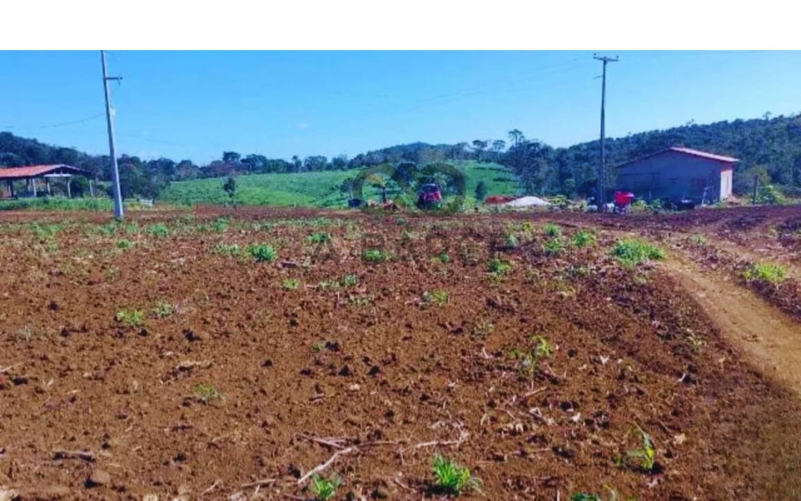 FAZENDA SANTA MARIA 349HA - UNA/BA - Imagem 4