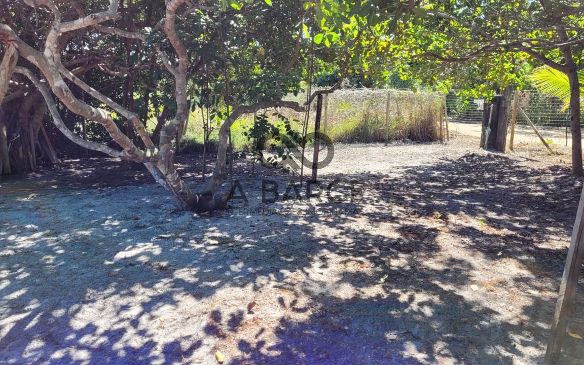 LOTE 450M²– TAIPU DE FORA – BARRA GRANDE/BA - Imagem 1