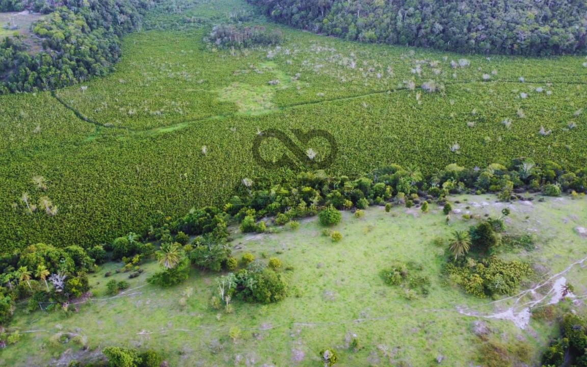 FAZENDA LAGOA DO BOI III COM 686 HA – OURICANA - CANAVIEIRAS/BA - Imagem 4