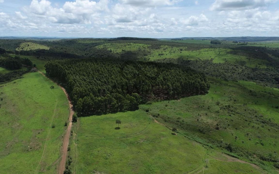 FAZENDA CACHOEIRAS DE BOA VISTA COM 691 HA – COCALZINHO DE GOIÁS - GIRASSOL/GO - Imagem 2