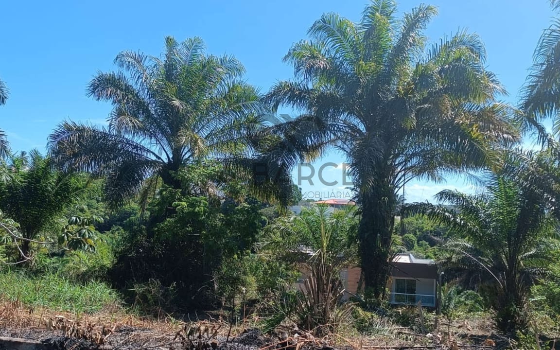 LOTE 450M² – LOTEAMENTO PÉROLA DO MAR – ILHÉUS/BA - Imagem 4